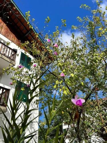 Refugio na Serra Condominio em Olaria, Nova Friburgo-RJ