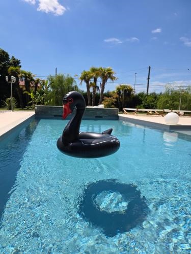 CasaKadd001Luxury Heated Pool Garden PatioBarbeque