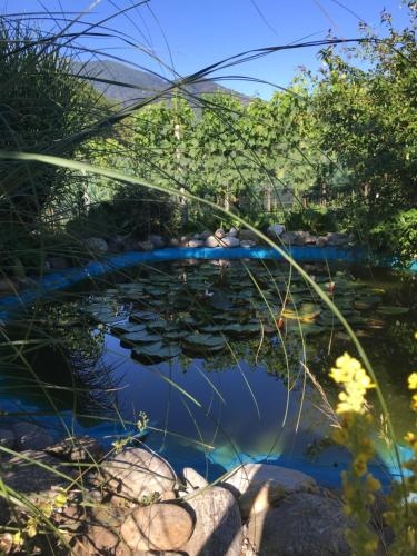 Casa in Konigs GarteN