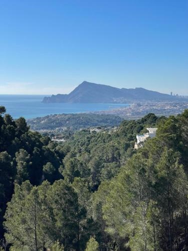 Altea Dreamview