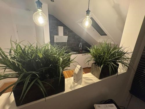 Apartment inklusiver gro?er Terrasse