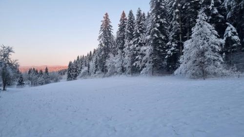 Appartement T3 60m2 calme