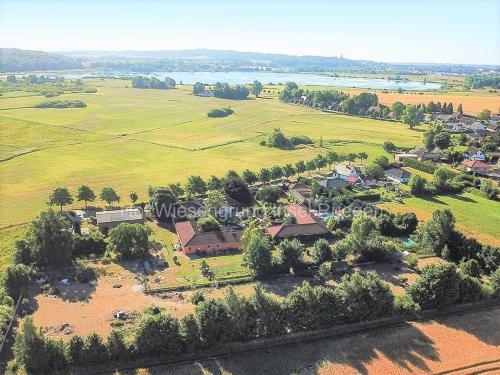 06 Grashupfer - Hof Wiesengrund