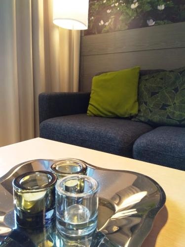 Apartment Yllas Ski Chalets 7202, Incl 2 lift tickets in winter season