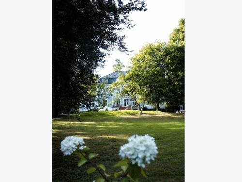 Villa Schoneck