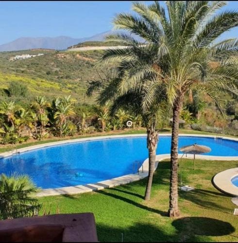 Fabuloso Apartamento