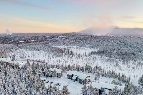 FREE downhill skiing ticket 1pcs Cozy and very peaceful place in Levi