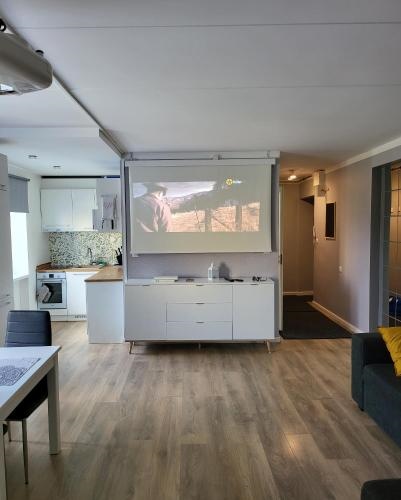 The entire comfortable apartment