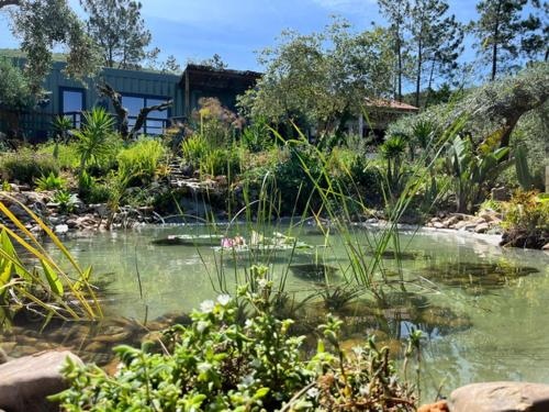 Casa Oliva - Casa do Lago