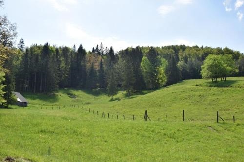Apartma podezelje