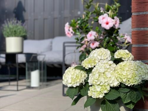 Ferienwohnung Annabelle