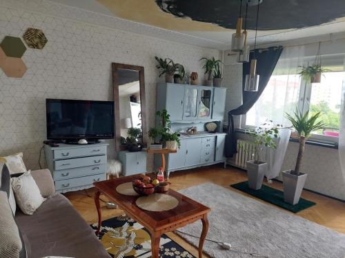 Alterra Apartment 13 legionowa street flat mieszkanie 41