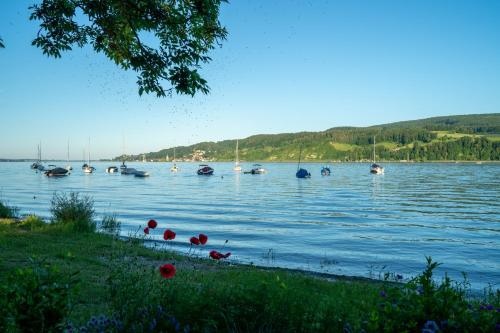 Ferienwohnung Bodensee Gaienhofen