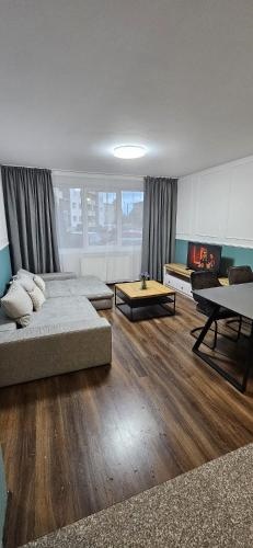 Family Apartament Baia Mare