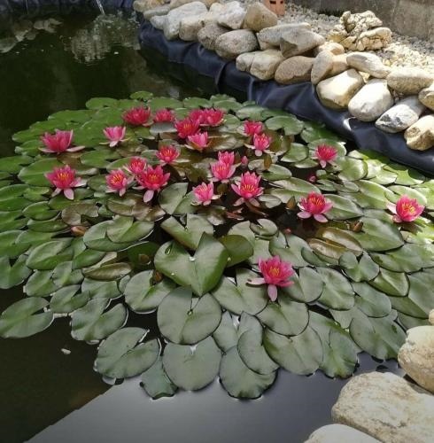 Ubytovani v Plumlove