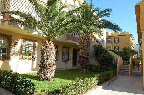 ??? ??? ?????, ?????? ?????