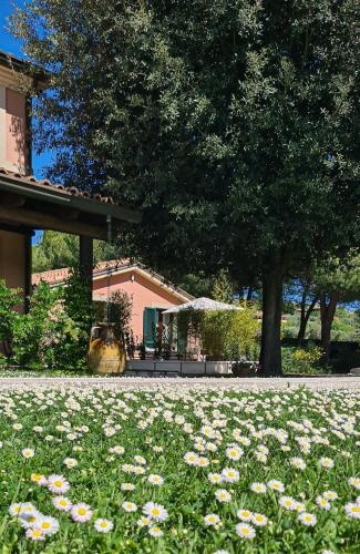 Villa Rosa Augusta