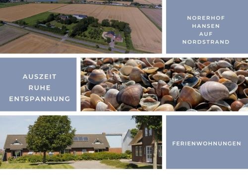 Norderhof Hansen - Fewo Mirja