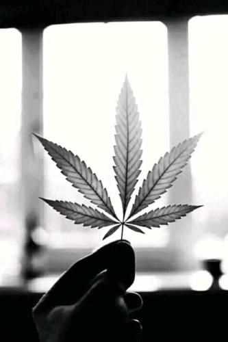 Ketama morocco hermanos