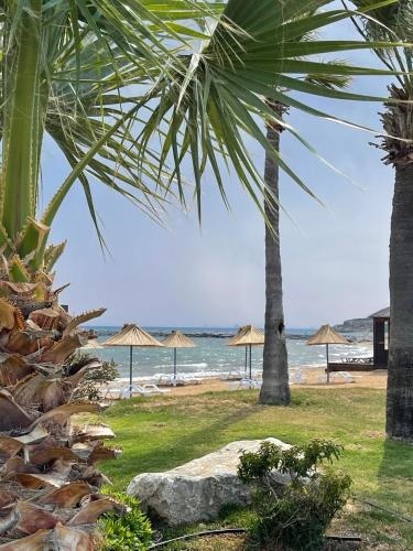 Blue Retreat Suites by the Sea