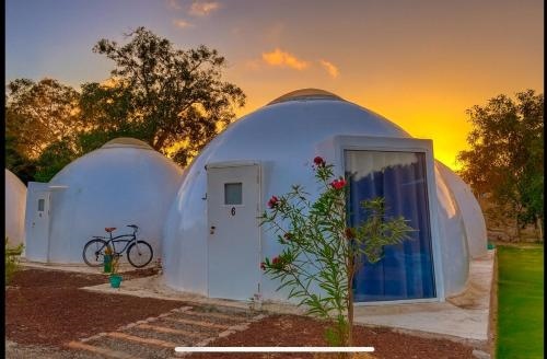 Iglu Barba Roja con vista al cielo