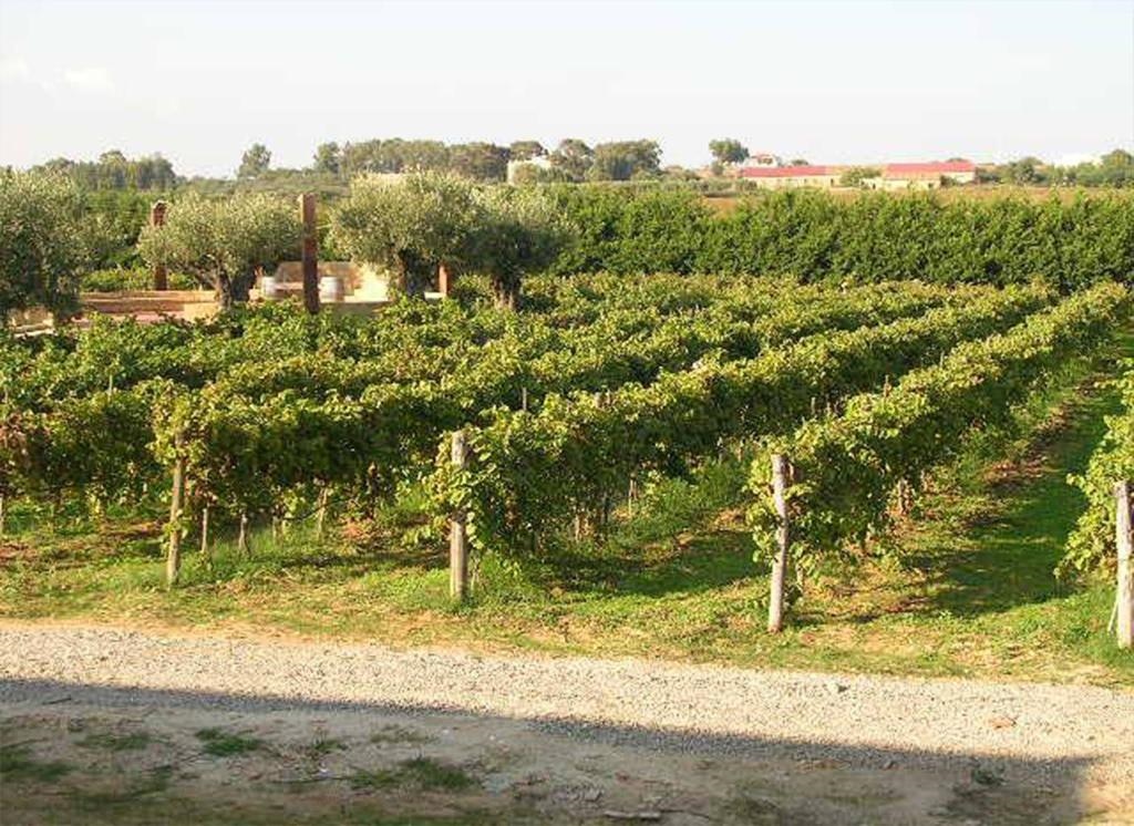 Borghetto Beach Resort