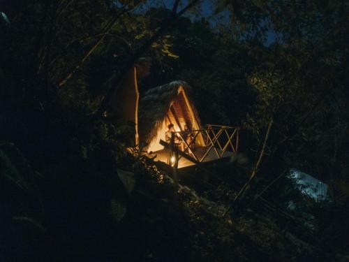 El Tigrillo Rio Claro By Los Colores Ecoparque