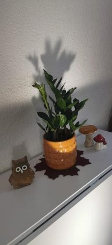 ruhige Sout. Whg. Feldrandnahe