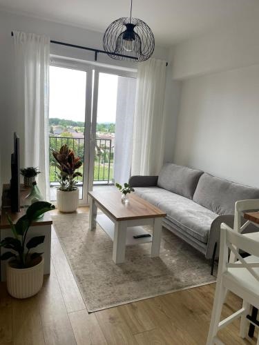 Apartament Amzoha