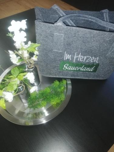 Ferienwohnung Sauerland