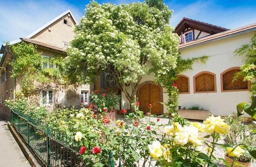 Ferienwohnungen Altes Rathaus