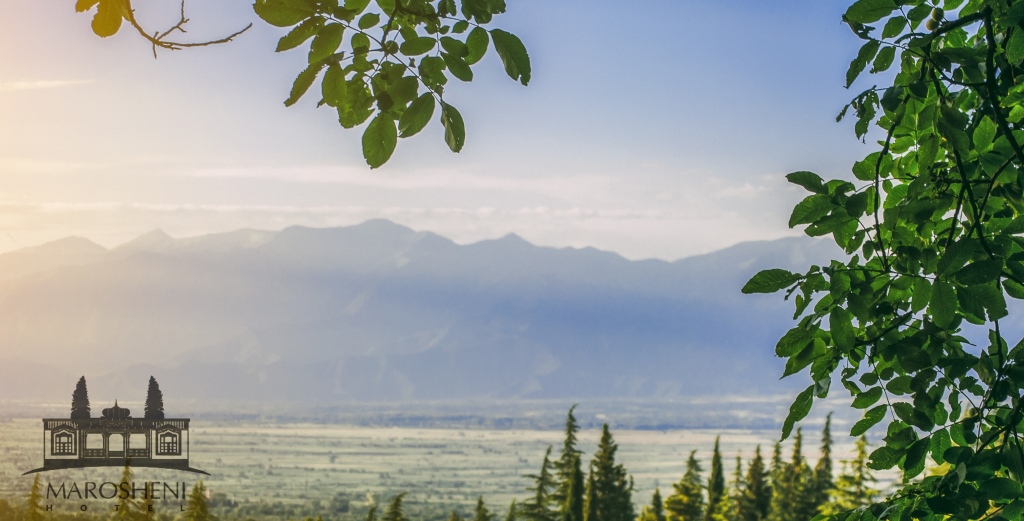 Hotel Marosheni