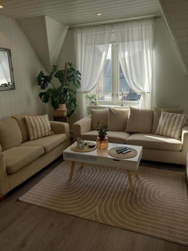 Light terrace city apartment Alesund
