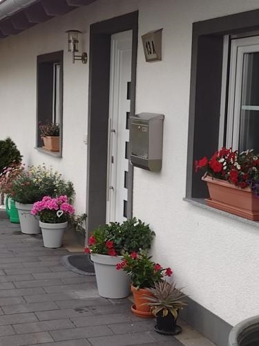 Ferienwohnung Blumenparadies