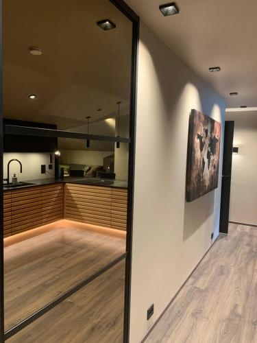 Olden apartments 3 penthouse.