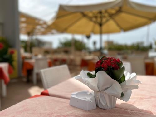 Hotel Costa Doro - Salve