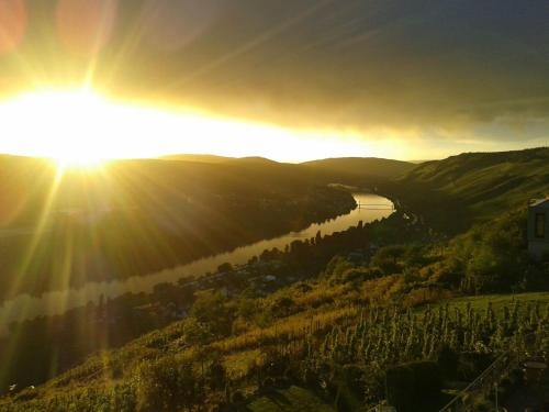 Apartment an der Mosel 1