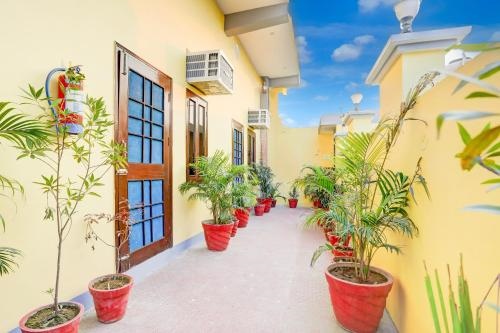 Hotel O Glory green farms and guest house