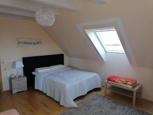 Helles Gastezimmer mit Kleinkuche und Badbenutzung