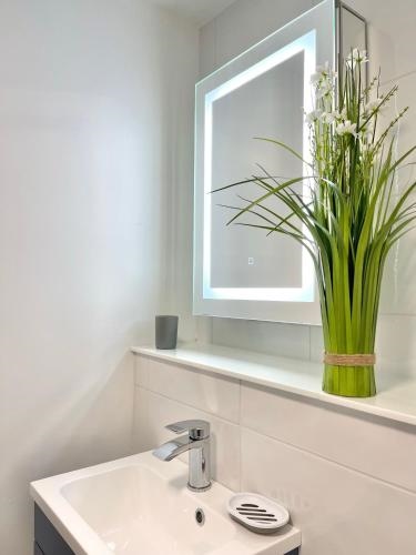 2 Bedroom Apartments Stopoverz