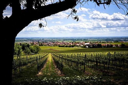 Tolle Wohnung fur 5 Personen