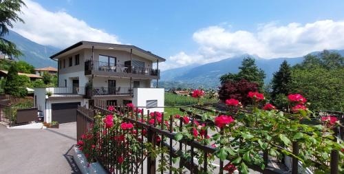 Marlingsuites Vinea Wieser Josef Marling