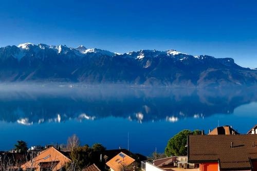 View Magnifique Lac Leman - Chardonne
