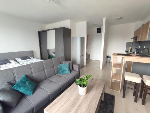 Apartman Alzbetka