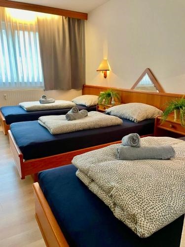 Schwanstetten bei Nurnberg, gemutliches Apartment mit Kuche Bad TV