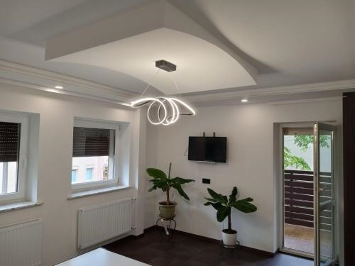 Apartament pod Wie??