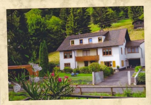 Komfortable Apartments Steger