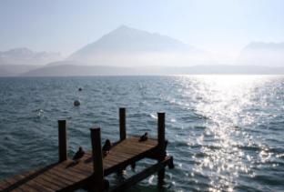 Swiss Apartment Thunersee