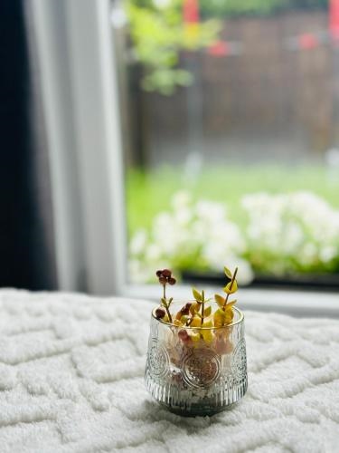 Apartament Mistral 2