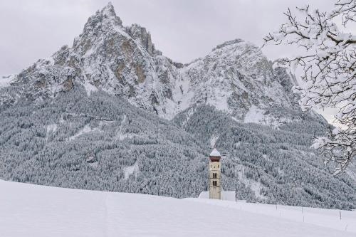 Labe Biohof Oberzonn